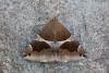 237780 – Photo : Johan Verstraeten – France (20)